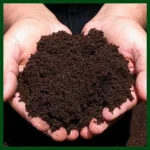 vermicompost-500x500-1